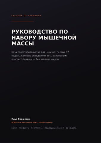 Превью гайда — обложка